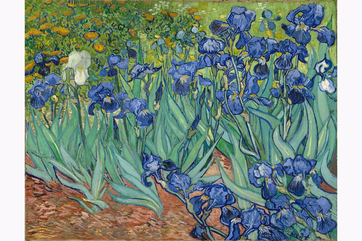 Flores azules y un iris blanco sobre hojas verdes.